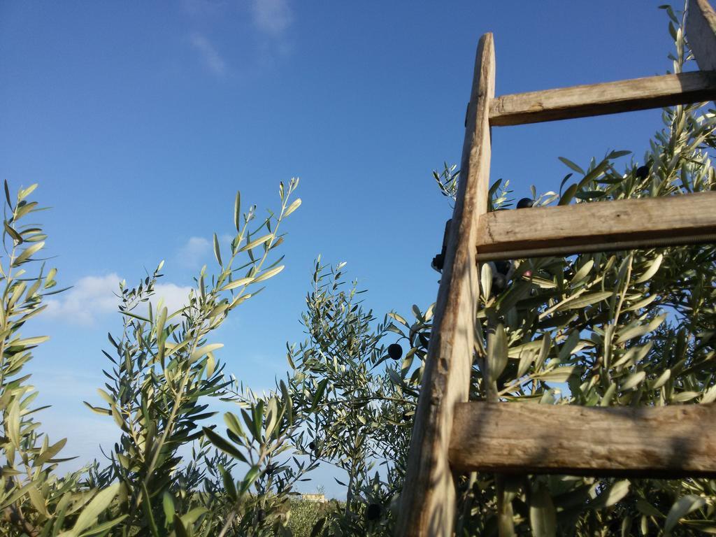 Cambiocavallo Resort Modica Zewnętrze zdjęcie